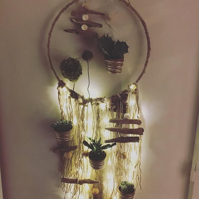 Attrape-rêves lumineux plantes